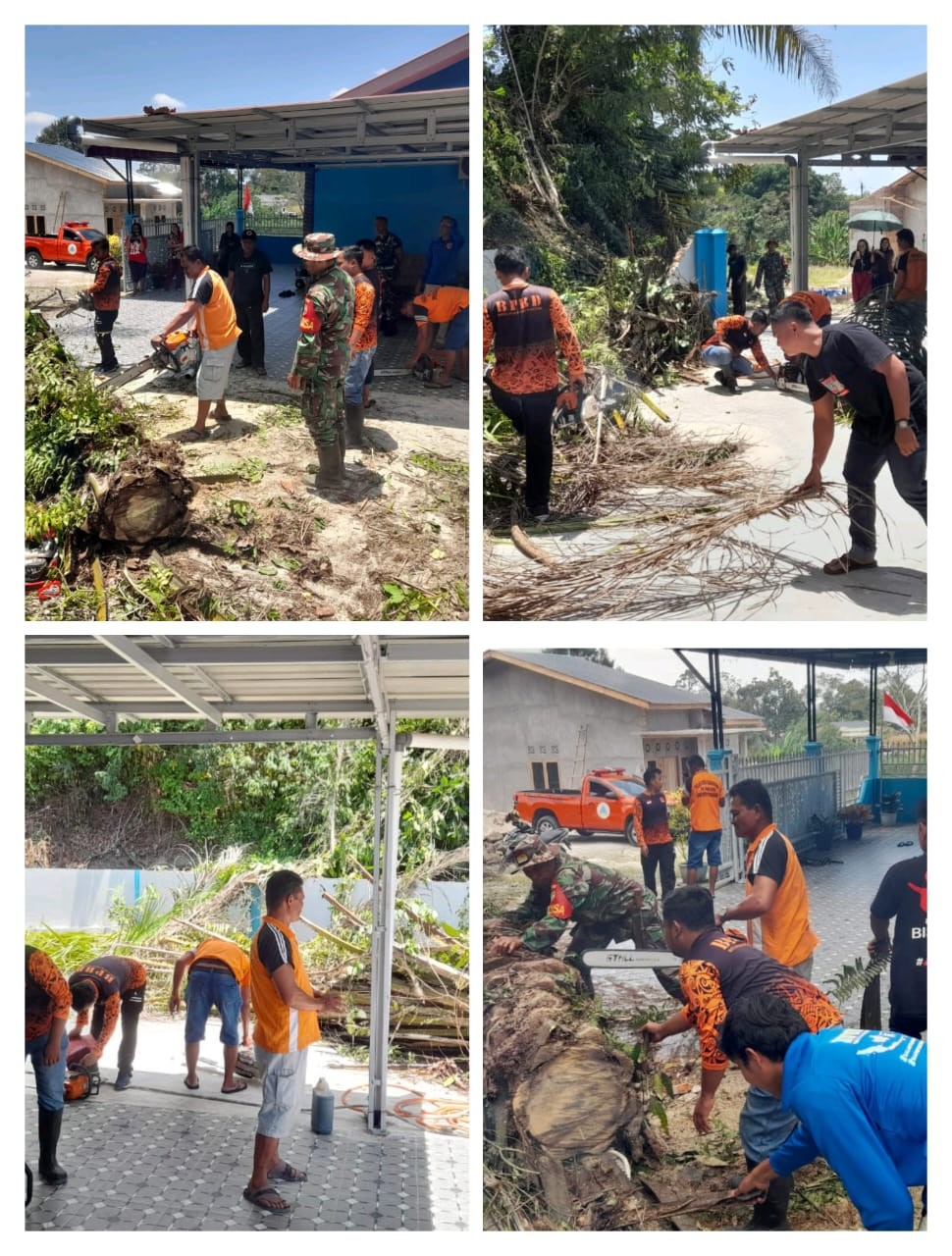 Evakuasi Pohon Tumbang Menimpa Tembok Warga