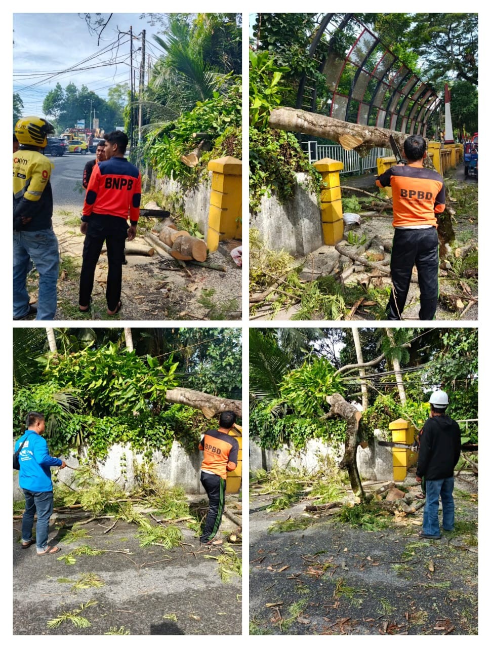 Evakuasi Pohon Tumbang Yang Menghambat Lalu Lintas