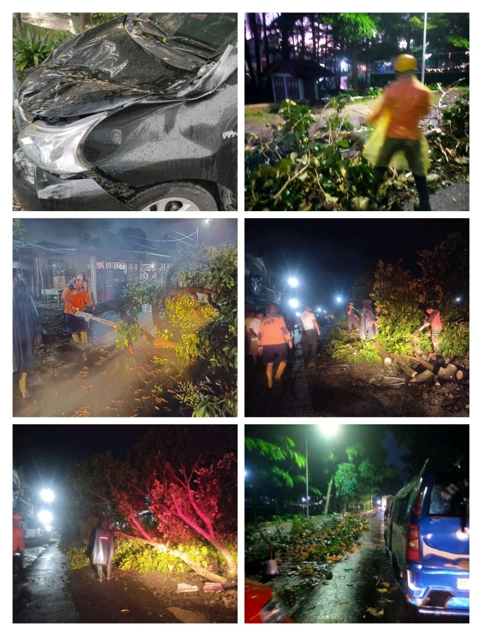 Evakuasi Pohon Tumbang  Di 3 Titik Kota Pematangsiantar