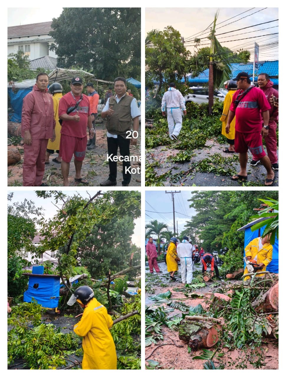 Evakuasi Pohon Tumbang Dijalan Vihara